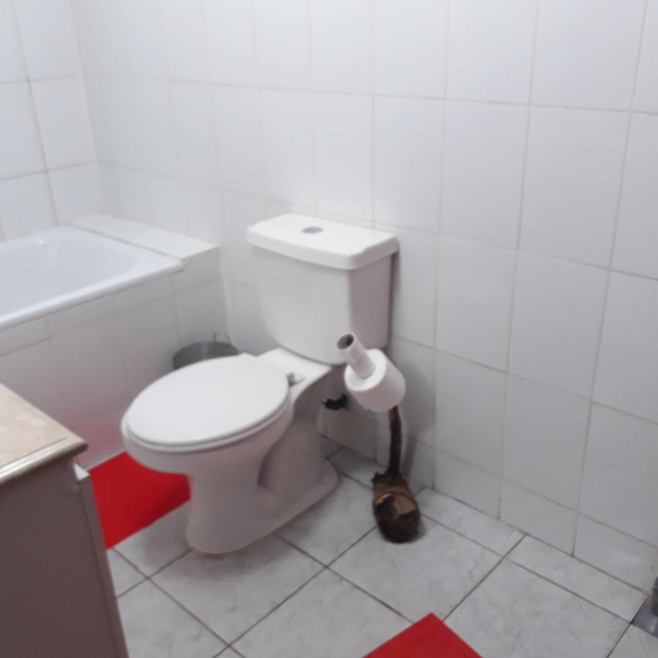 פנגיפולי La Llar Hostel מראה חיצוני תמונה