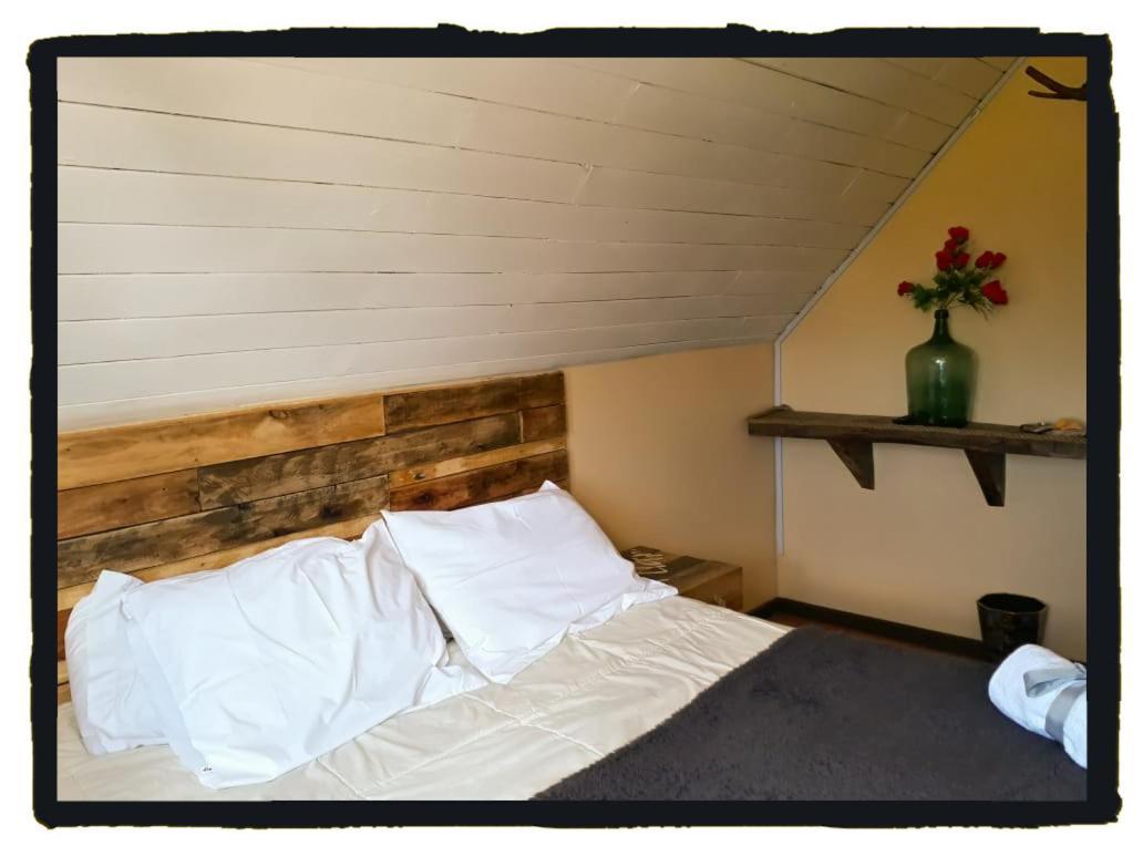 פנגיפולי La Llar Hostel מראה חיצוני תמונה